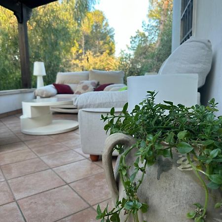 Villa Zoe 托里德欧索 外观 照片