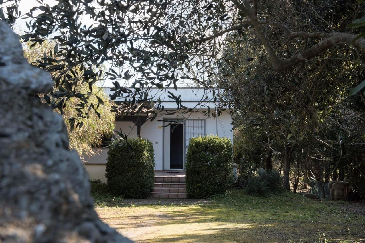 Villa Zoe 托里德欧索 外观 照片